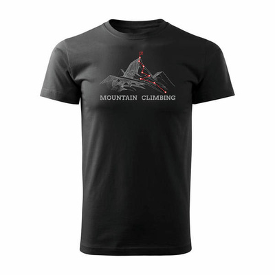 Bergsteigen Herren-T-Shirt schwarz REGULAR